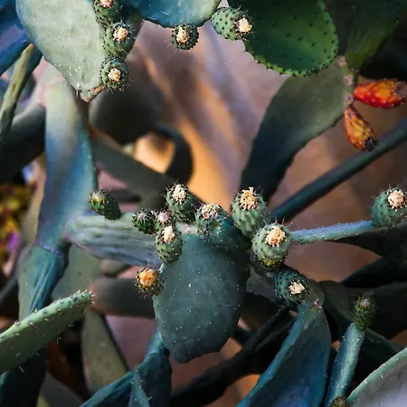 Panzió A La Maison Xagħra