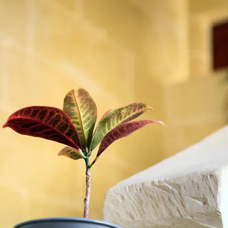 A La Maison فندق مبيت وإفطار